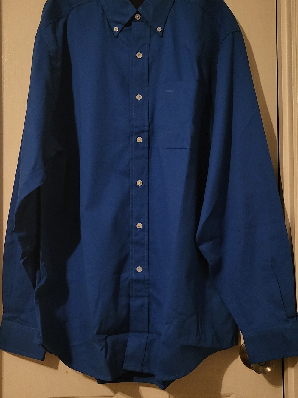 Classic Button-Down Shirt in Royal Blue